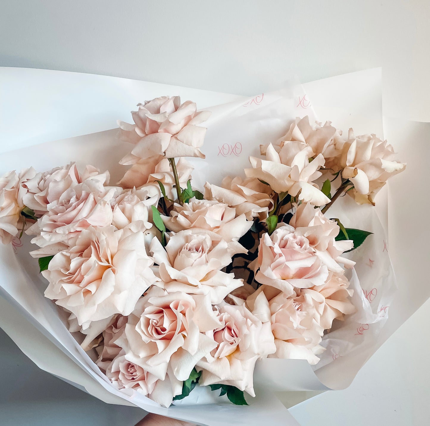 SOFT KISSES • Luxury All Warm Blush Rose Bouquet