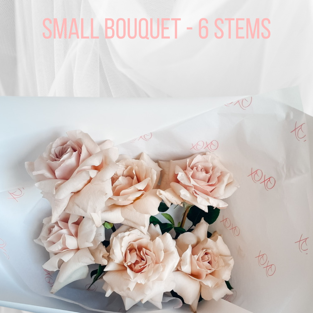 SOFT KISSES • Luxury All Warm Blush Rose Bouquet