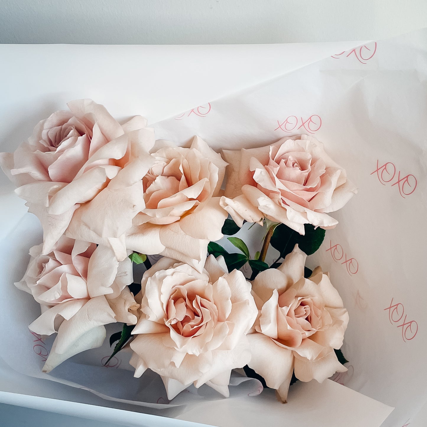 SOFT KISSES • Luxury All Warm Blush Rose Bouquet