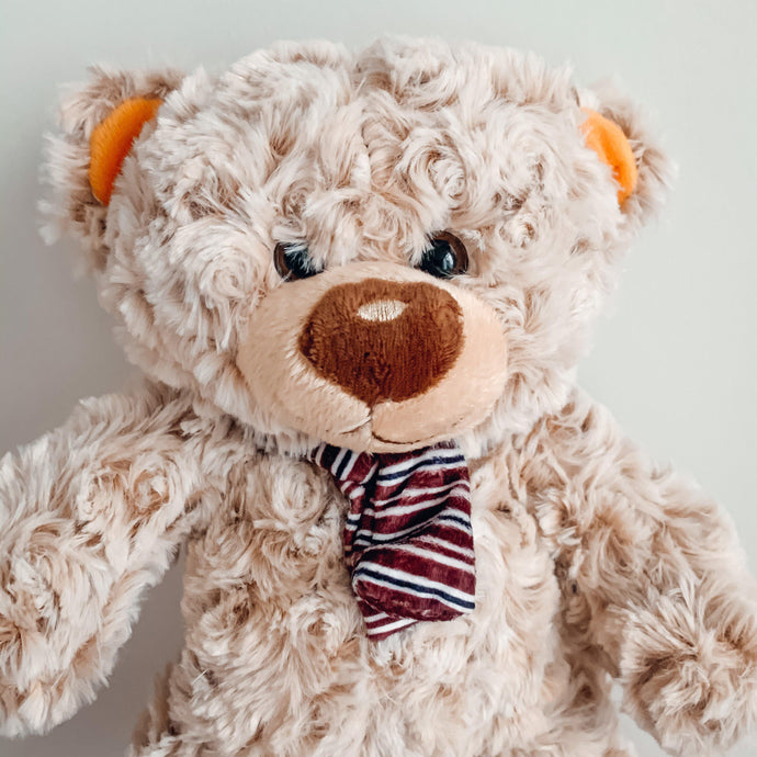 SNUGGLES - Plush Teddy Bear